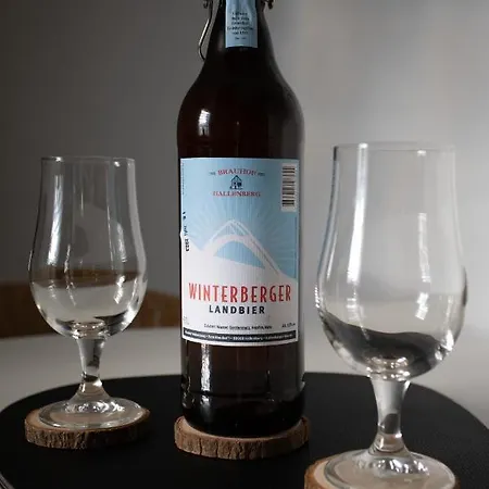 Apartmán - Skipiste Um Ecke Winterberg