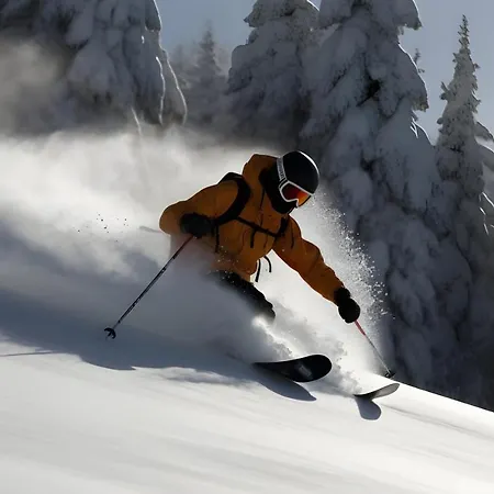 - Skipiste Um Ecke *