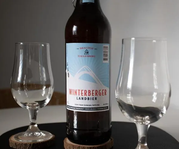 Apartmán - Skipiste Um Ecke Winterberg